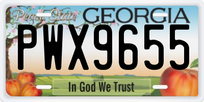 GA license plate PWX9655
