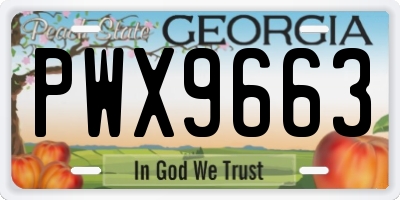 GA license plate PWX9663