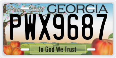 GA license plate PWX9687