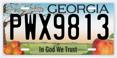 GA license plate PWX9813