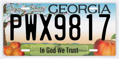 GA license plate PWX9817