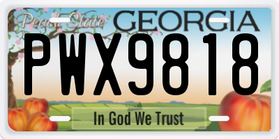 GA license plate PWX9818