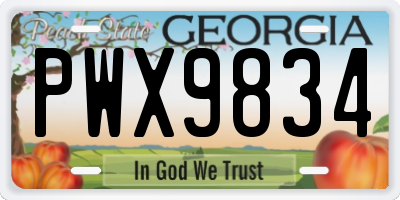 GA license plate PWX9834