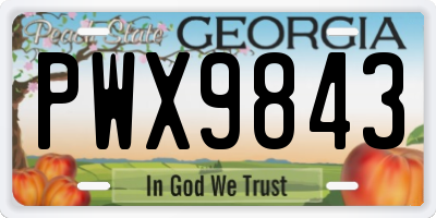 GA license plate PWX9843