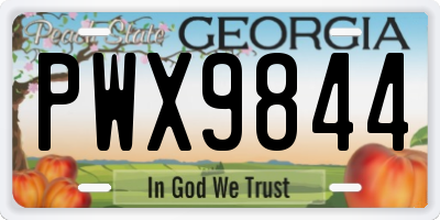 GA license plate PWX9844