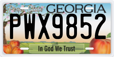 GA license plate PWX9852