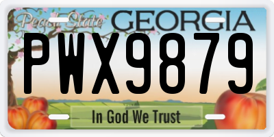 GA license plate PWX9879