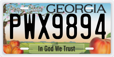 GA license plate PWX9894