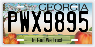 GA license plate PWX9895