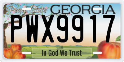 GA license plate PWX9917