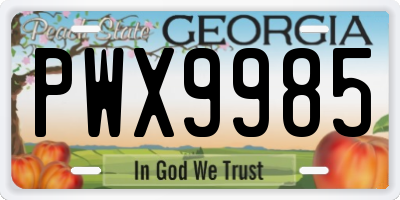 GA license plate PWX9985