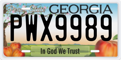 GA license plate PWX9989