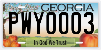 GA license plate PWY0003