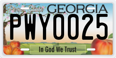 GA license plate PWY0025