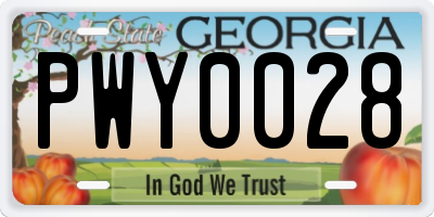 GA license plate PWY0028