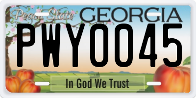GA license plate PWY0045