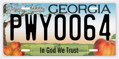 GA license plate PWY0064