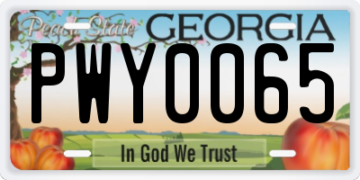 GA license plate PWY0065