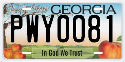 GA license plate PWY0081