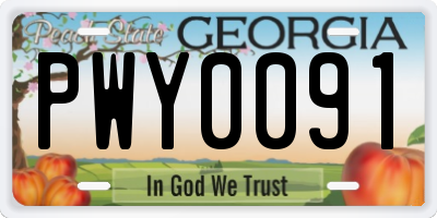 GA license plate PWY0091