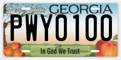 GA license plate PWY0100