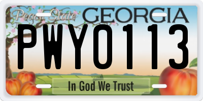 GA license plate PWY0113