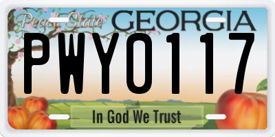 GA license plate PWY0117