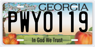 GA license plate PWY0119
