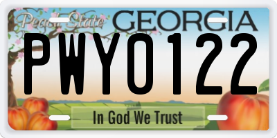 GA license plate PWY0122