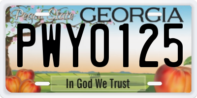 GA license plate PWY0125