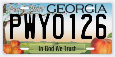 GA license plate PWY0126