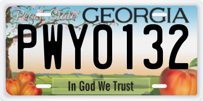GA license plate PWY0132