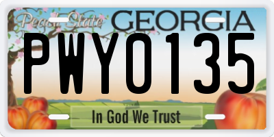 GA license plate PWY0135