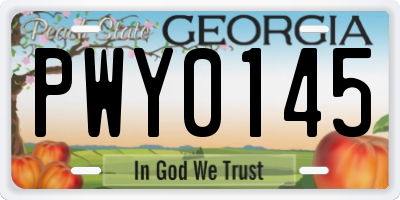 GA license plate PWY0145