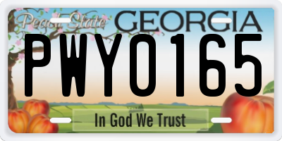 GA license plate PWY0165