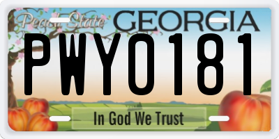 GA license plate PWY0181
