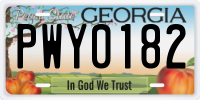 GA license plate PWY0182