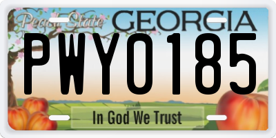GA license plate PWY0185