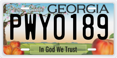 GA license plate PWY0189