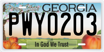 GA license plate PWY0203