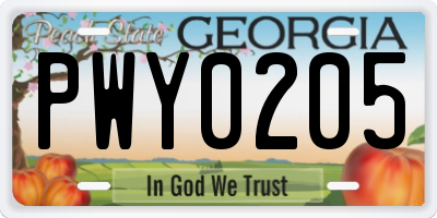 GA license plate PWY0205