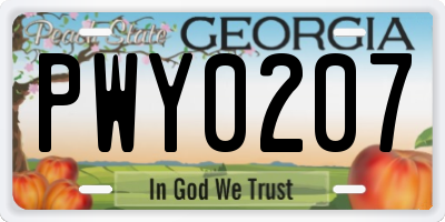 GA license plate PWY0207