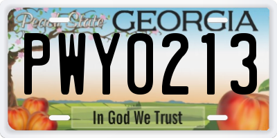 GA license plate PWY0213