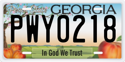 GA license plate PWY0218