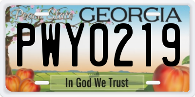 GA license plate PWY0219