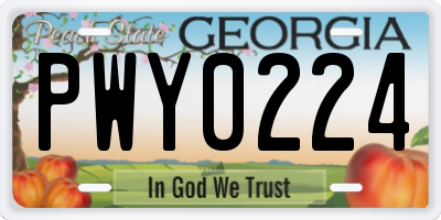 GA license plate PWY0224