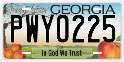 GA license plate PWY0225