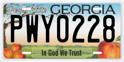 GA license plate PWY0228