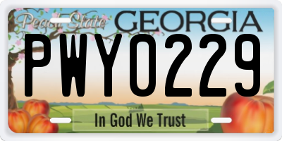 GA license plate PWY0229