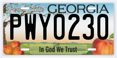 GA license plate PWY0230